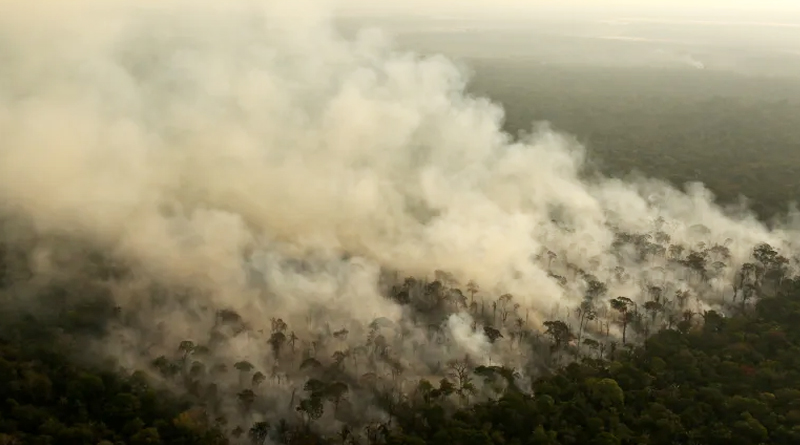 Fenômeno El Niño está de volta informa agência entenda os efeitos para o Brasil Porto